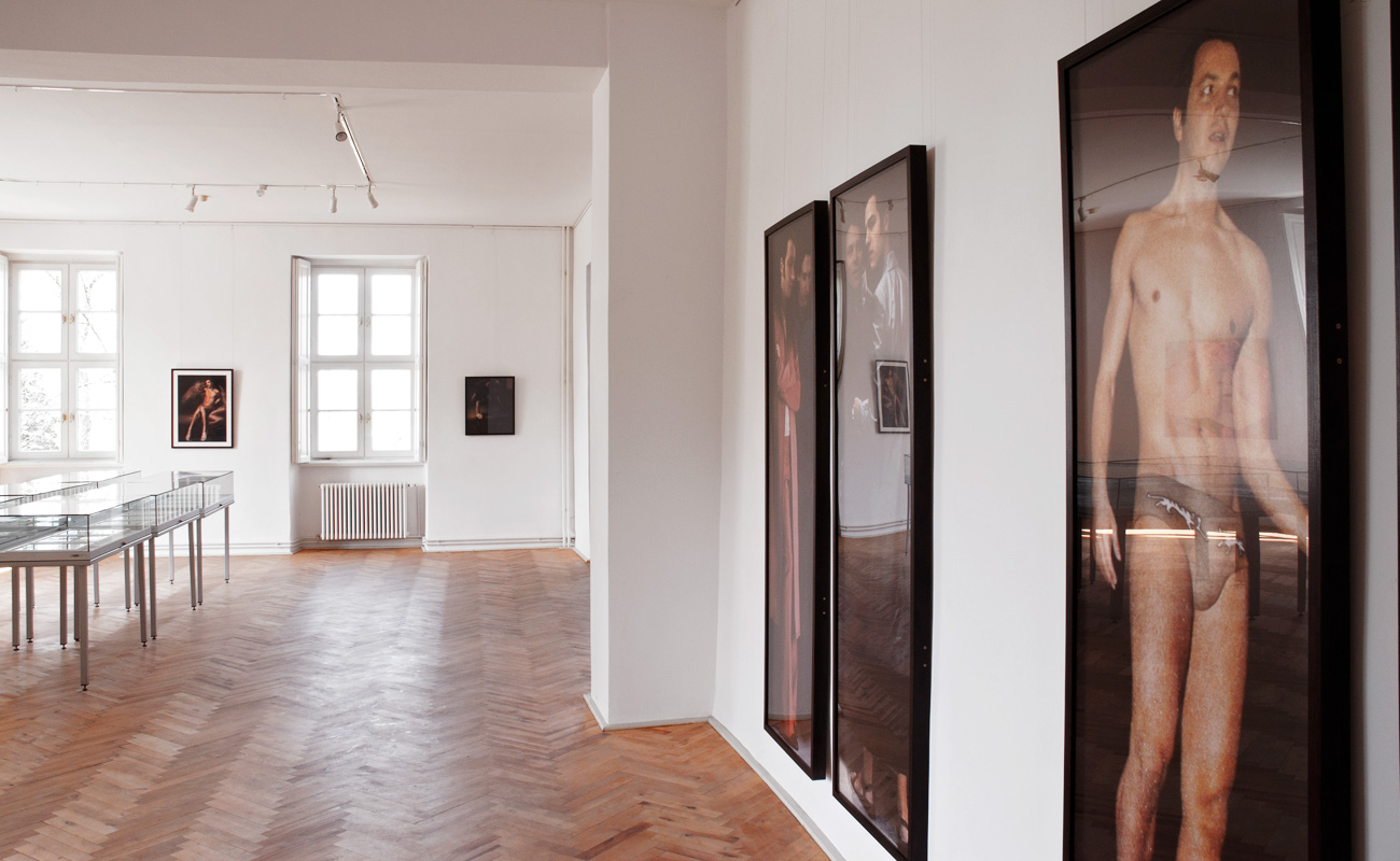 "I'll Be Your Mirror" - Galerie im Schloss, Bad Freienwalde/Altranft, 2014